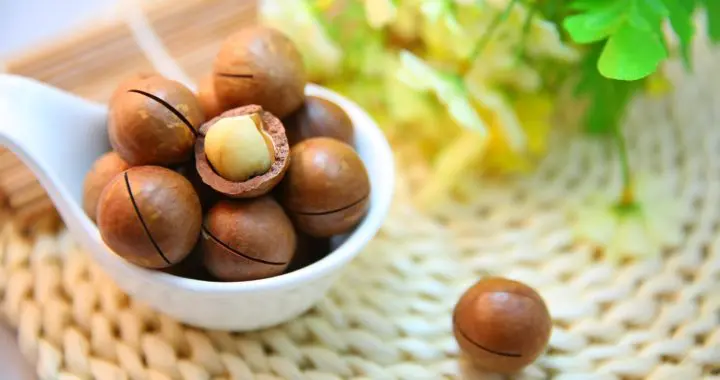macadamiaöl